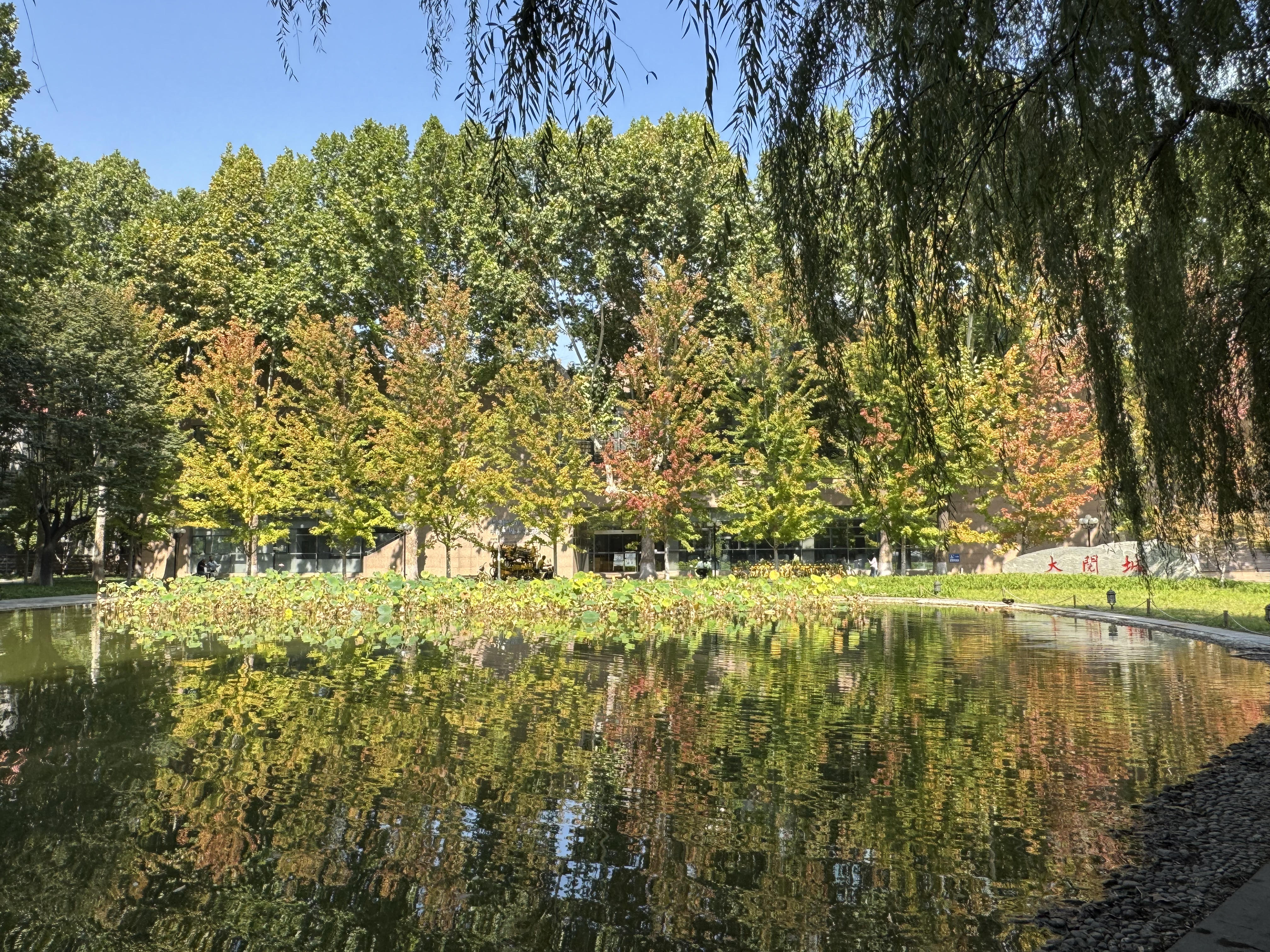 旅游