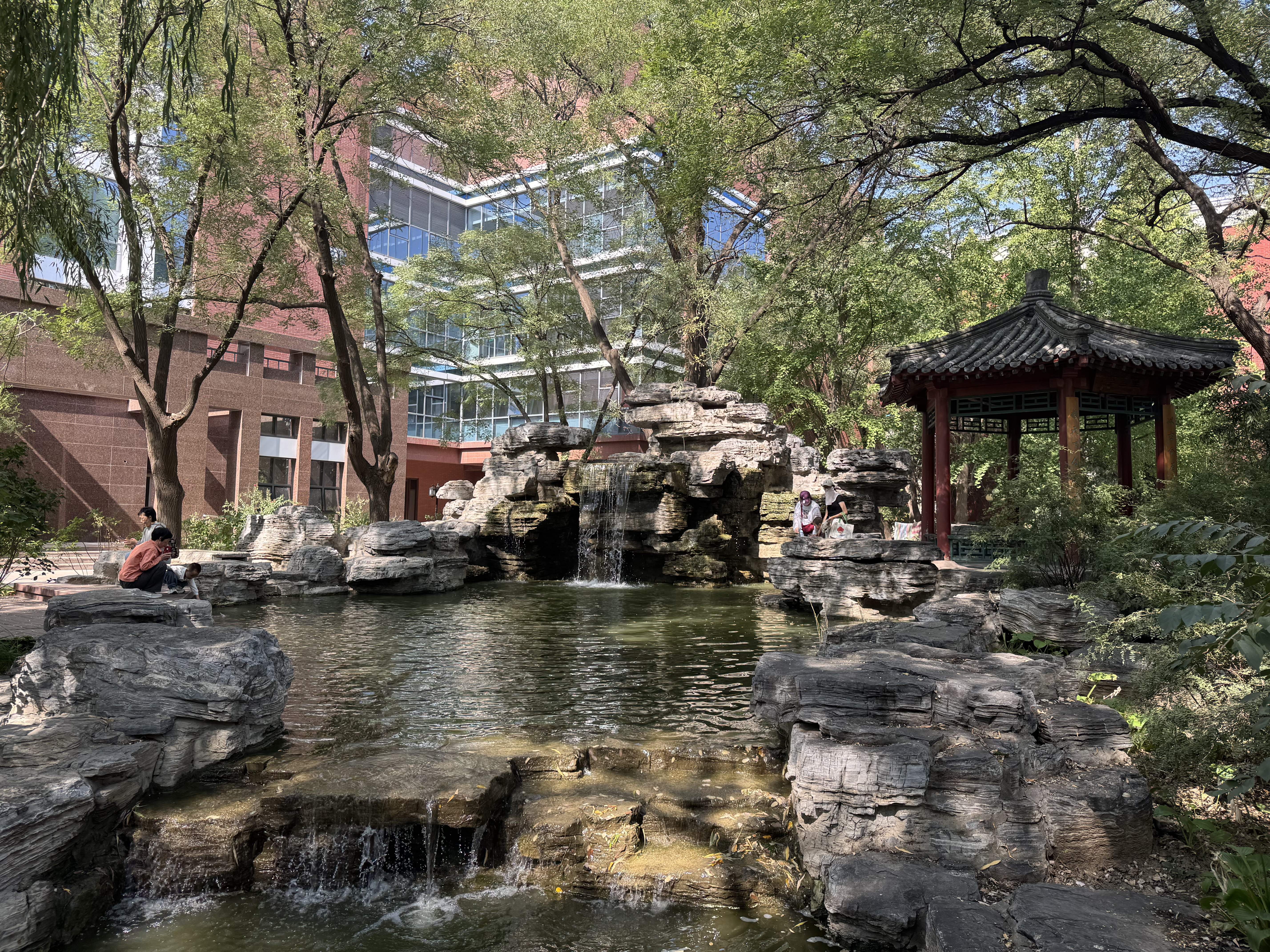 学校的庭院