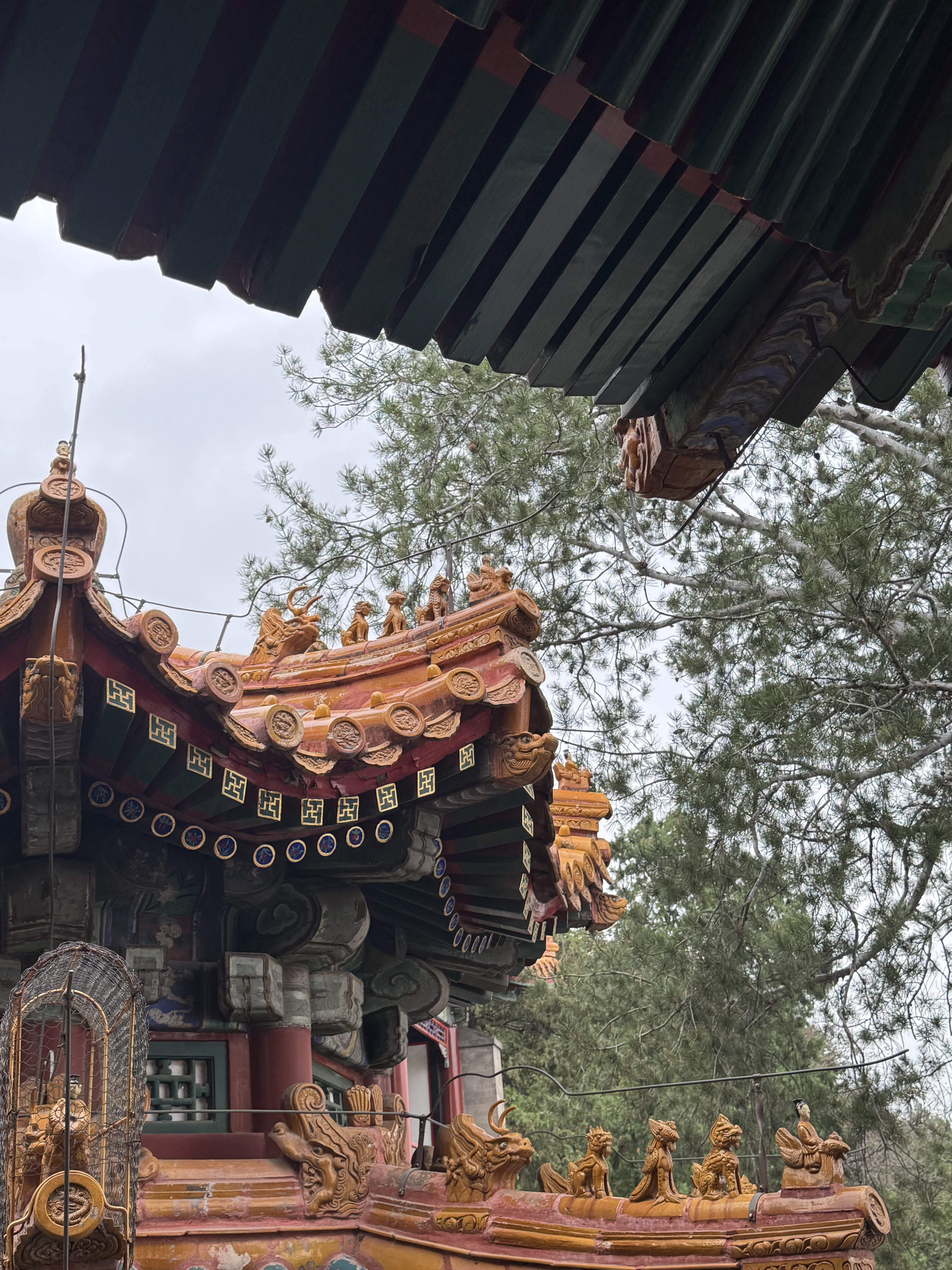 旅游