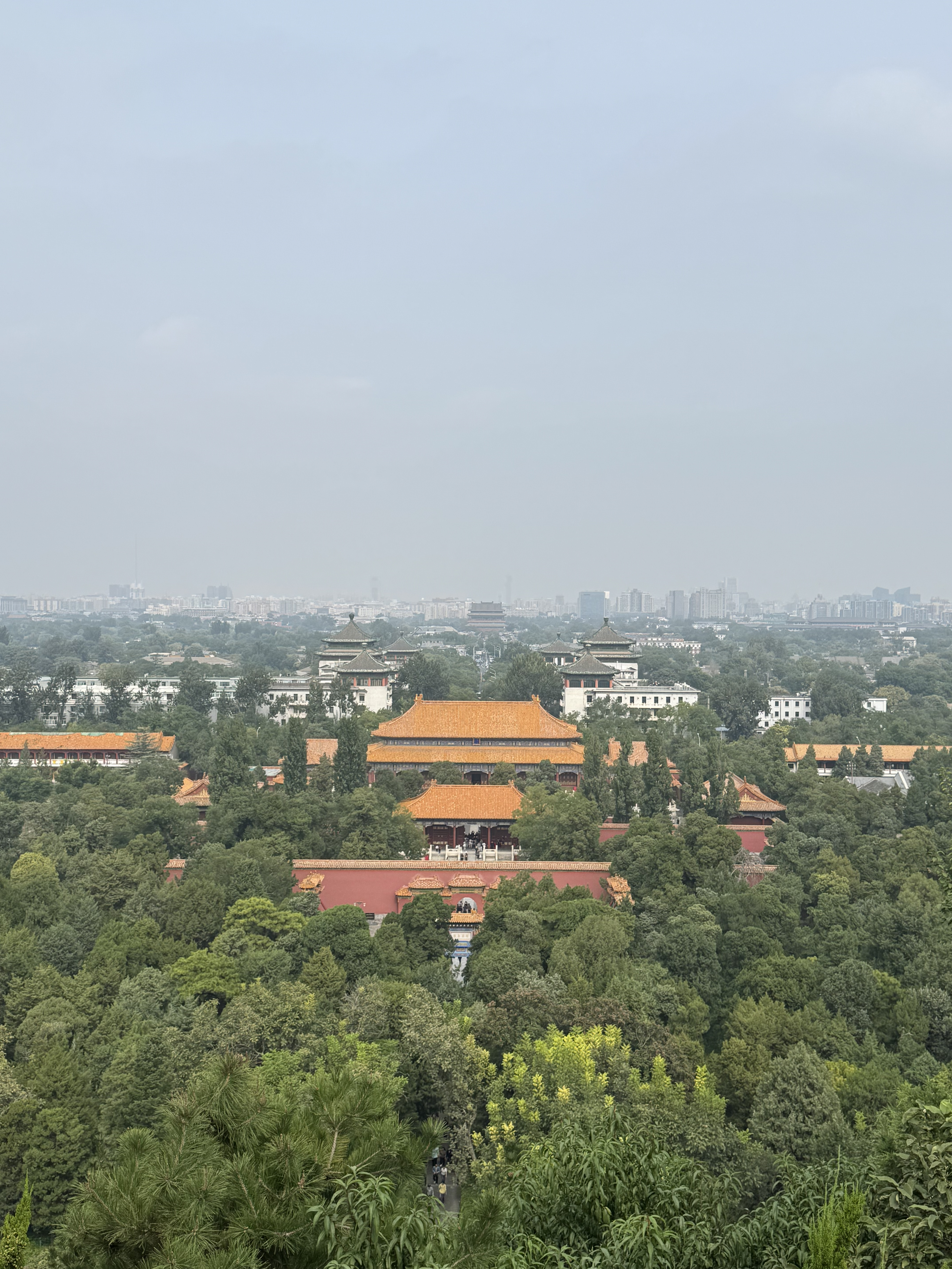 旅游