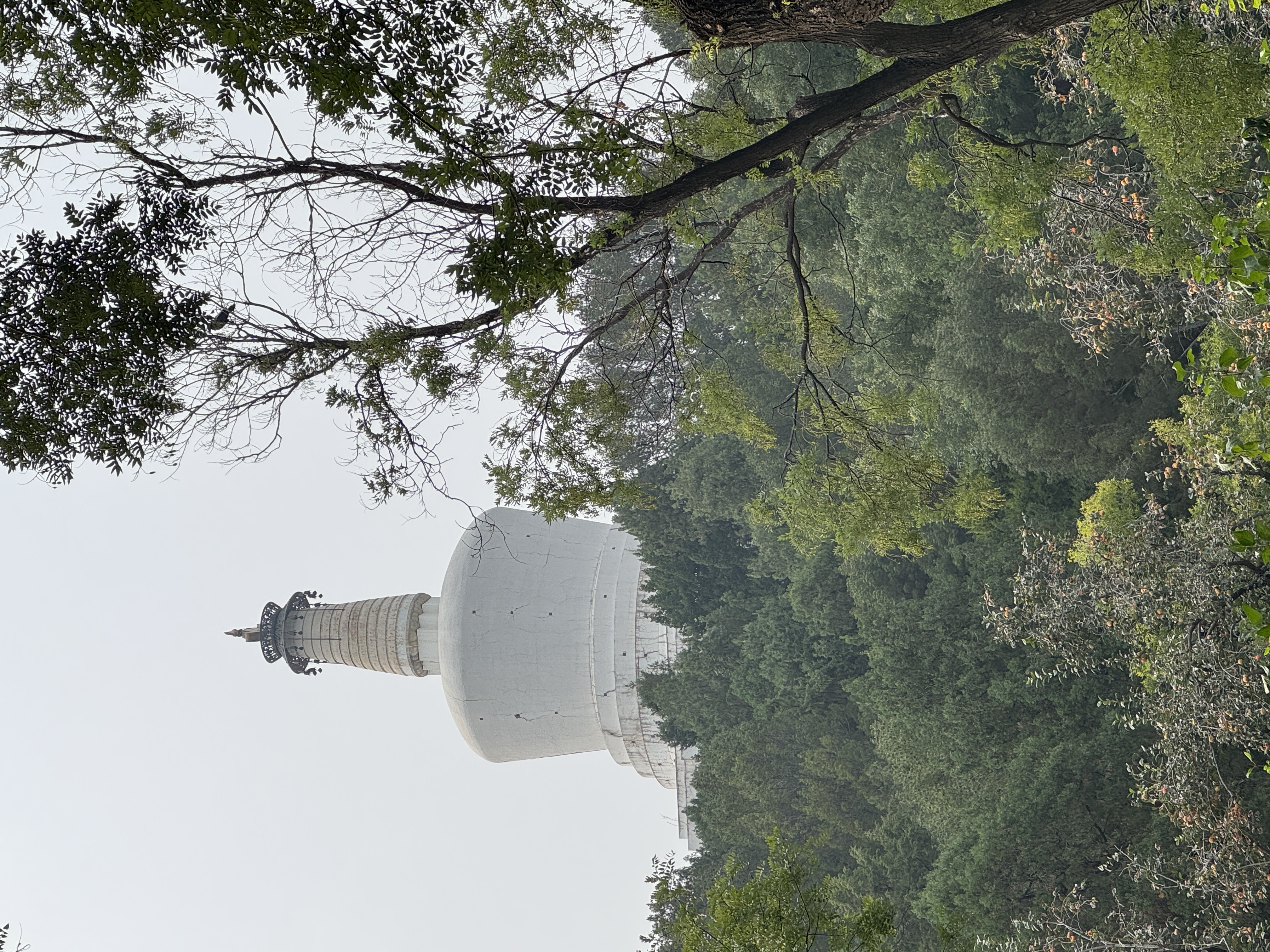 旅游