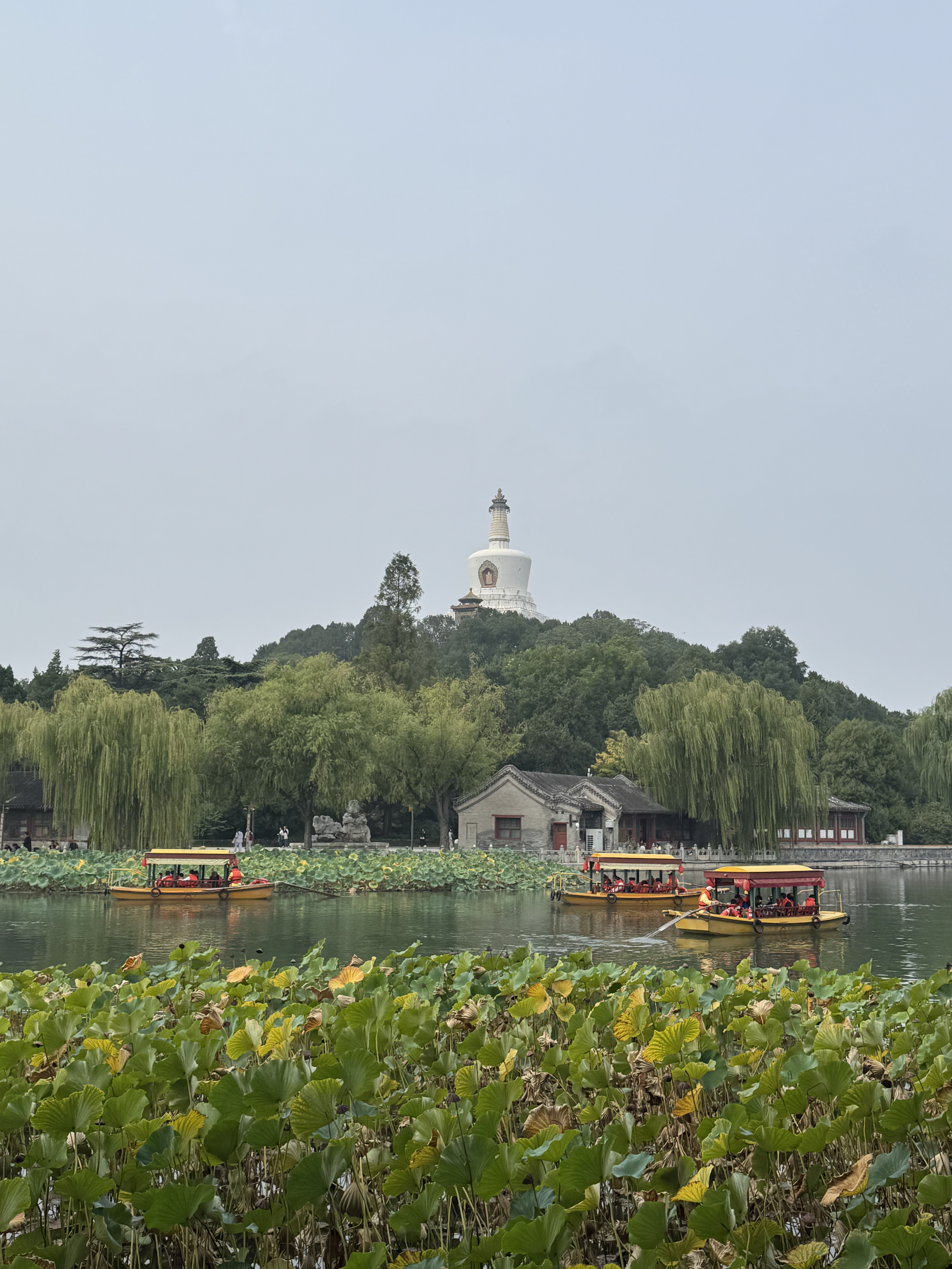 旅游